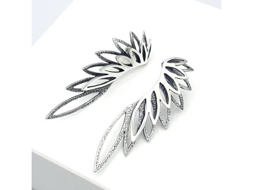 Kolczyki srebrne duże...