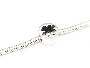 Srebrna zawieszka Charms...